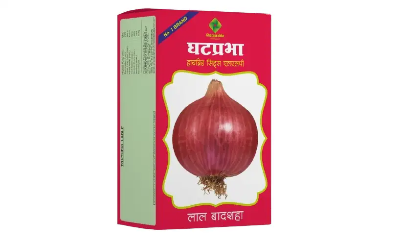 Onion Seeds - Lal Badshah