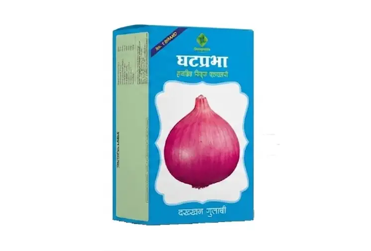 Onion Seeds - Dakkhan Gulabi
